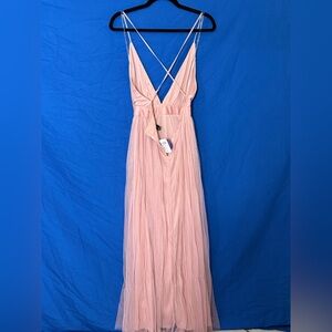 Windsor Blush Pink Backless Dress